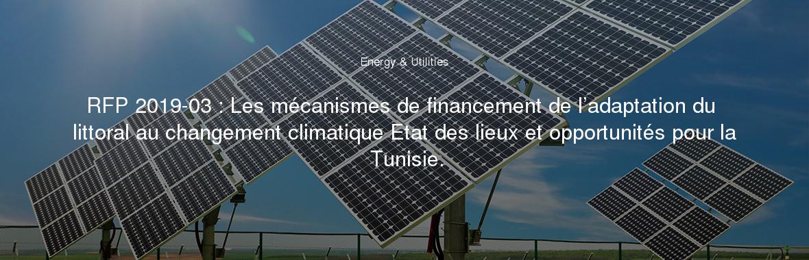 RFP 2019-03 : Les mécanismes de financement de l’adaptation du littoral au changement climatique Etat des lieux et opportunités pour la Tunisie.