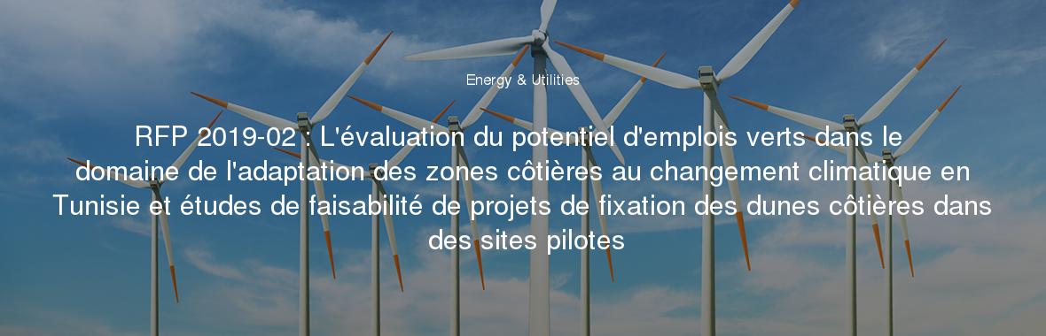 RFP 2019-02 : L'évaluation du potentiel d'emplois verts dans le domaine de l'adaptation des zones côtières au changement climatique en Tunisie et études de faisabilité de projets de fixation des dunes côtières dans des sites pilotes