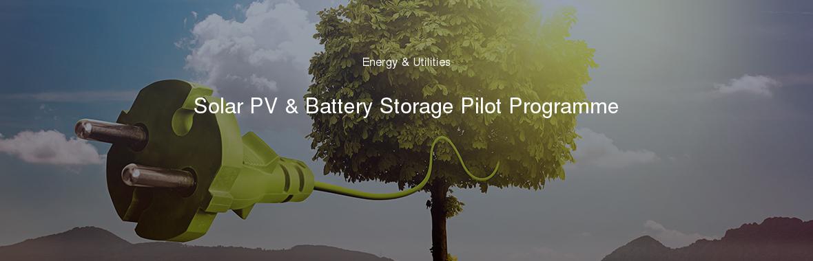 Solar PV & Battery Storage Pilot Programme
