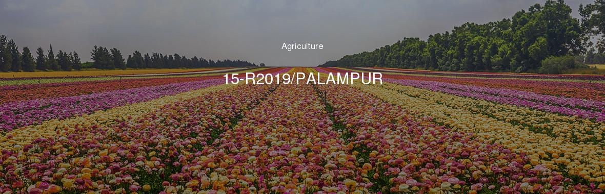 15-R2019/PALAMPUR