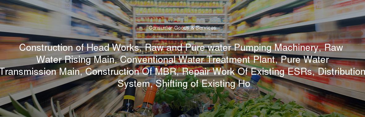 Construction of Head Works, Raw and Pure water Pumping Machinery, Raw Water Rising Main, Conventional Water Treatment Plant, Pure Water Transmission Main, Construction Of MBR, Repair Work Of Existing ESRs, Distribution System, Shifting of Existing Ho