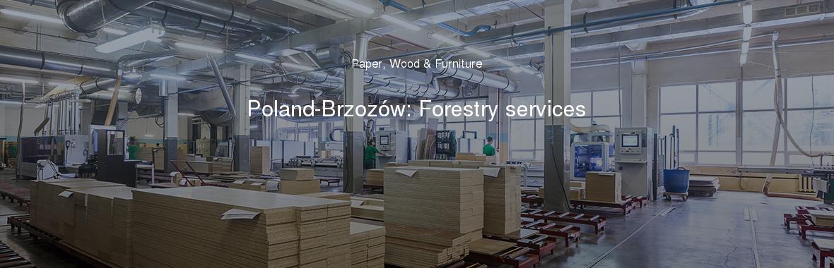 Poland-Brzozów: Forestry services