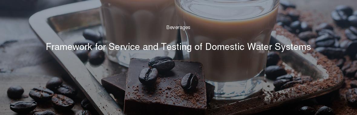 Framework for Service and Testing of Domestic Water Systems