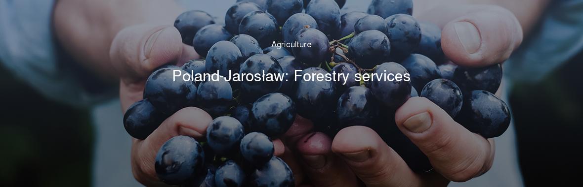 Poland-Jarosław: Forestry services