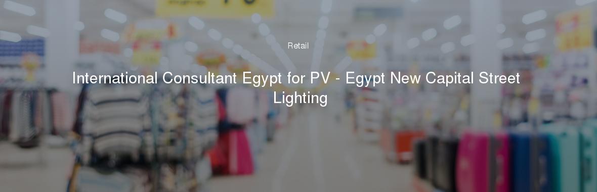 International Consultant Egypt for PV - Egypt New Capital Street Lighting